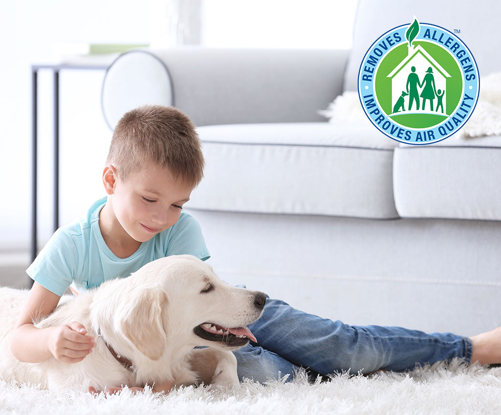 Chem-Dry Australia uses a professional carpet cleaner that is safe for pets and kids